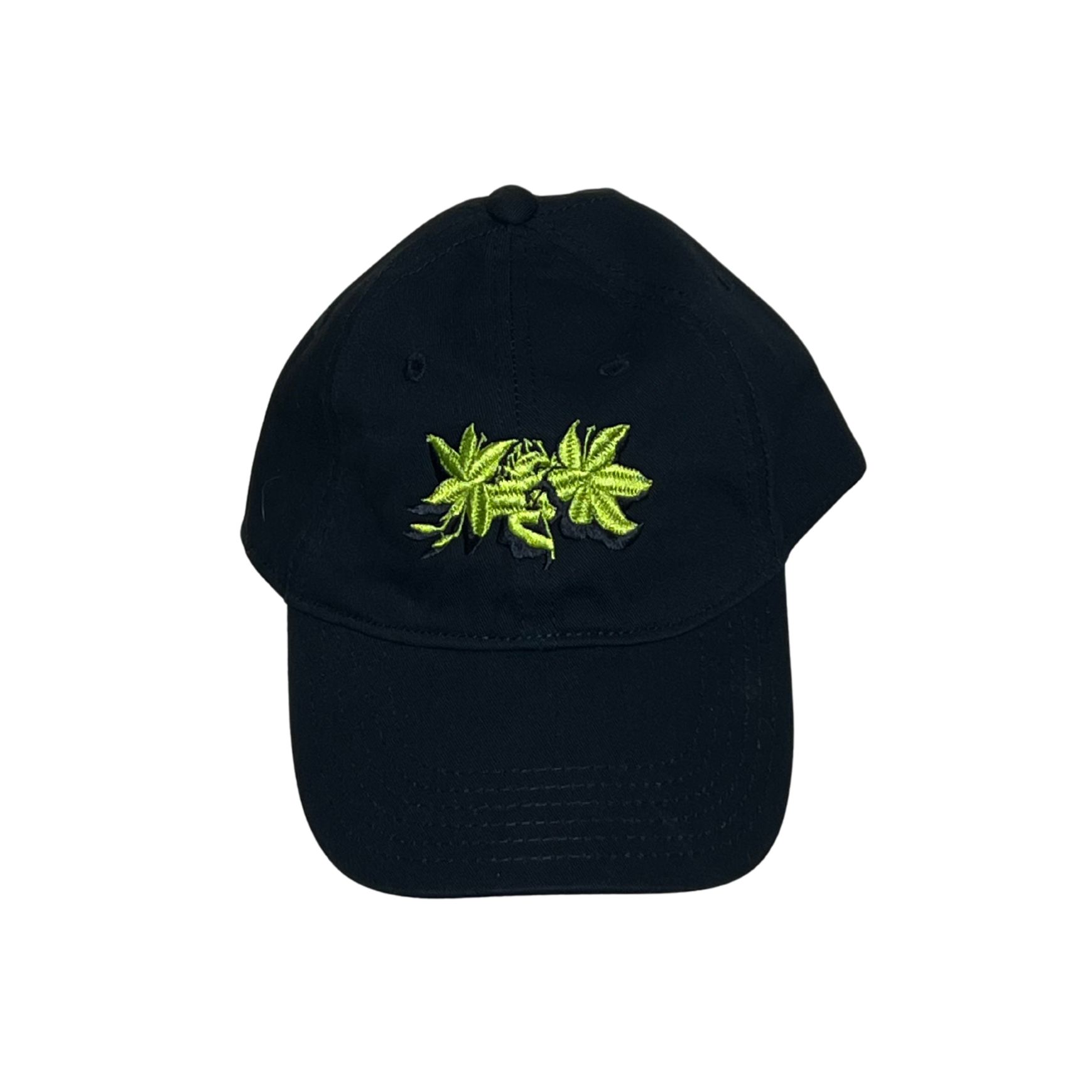 CAP NEGRO "AYUDANDOLE A SENTIR"