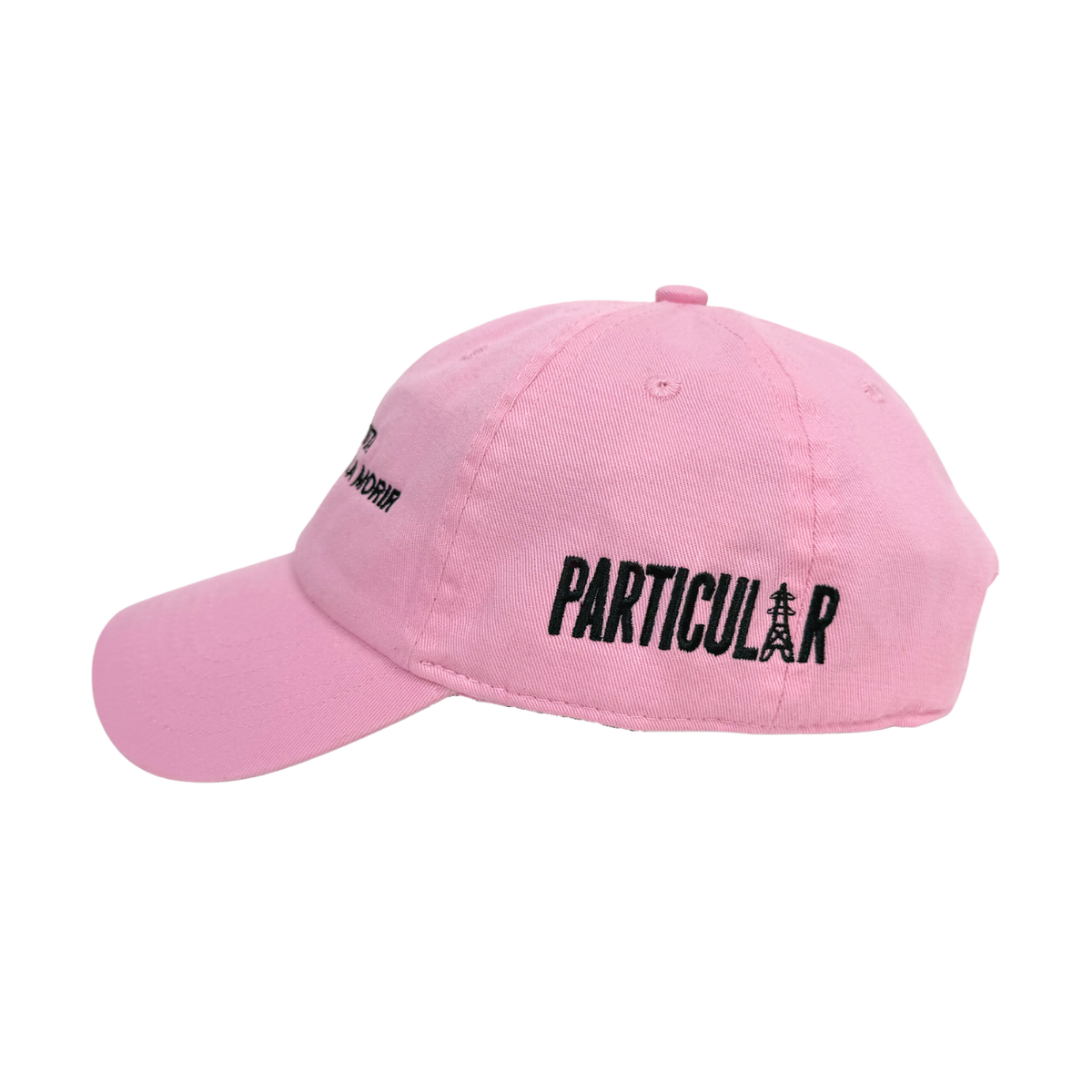 HAZ LO QUE TE GUSTA CAP BABY ROSADO