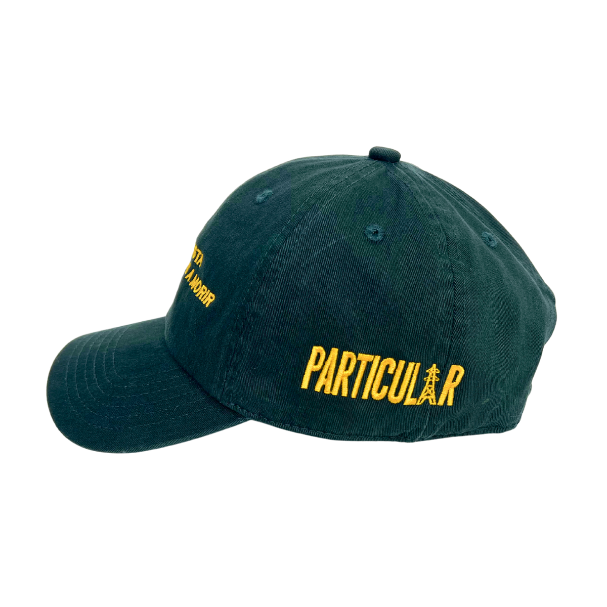 HAZ LO QUE TE GUSTA CAP VERDE
