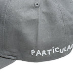 Cap LOS AMIGOS Gris