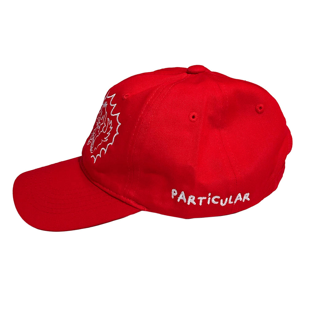 Cap LOS AMIGOS rojo